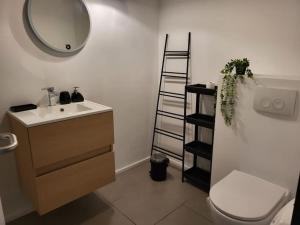 ein Badezimmer mit einem Waschbecken, einem Spiegel und einem WC in der Unterkunft Appartement en plein centre de mons in Mons