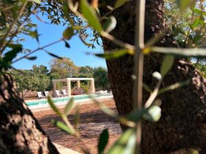 a view of a swimming pool from behind a tree at Villaria Luxury apulian villa with pool in Campomarino