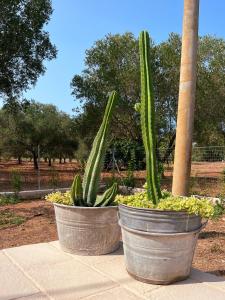 two large pots of plants sitting on a sidewalk at Villaria Luxury apulian villa with pool in Campomarino