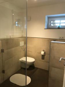 a bathroom with a toilet and a glass shower at Wohnung mit eigenem Zugang in Hochdorf