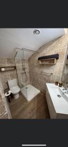 y baño con ducha, aseo y lavamanos. en Chambre 7 kitchenette Les gites de la Gare, en Mussidan