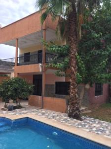un palmier à côté d'une maison avec piscine dans l'établissement Villa SLS privé avec piscine privée, à Ourika