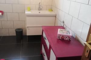 a small bathroom with a pink counter and a sink at Chez Mamilou in Soufflenheim +10 photos