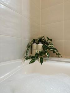 una planta sentada al borde de una bañera en Jungle suite - moderne et spacieux, en Annecy