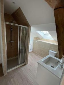 ein Bad mit einer Dusche und einem Waschbecken in der Unterkunft Appartement 4 personnes in Nesle