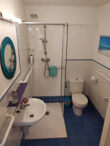 a bathroom with a shower and a toilet and a sink at Can Penjarella I in Arbúcies