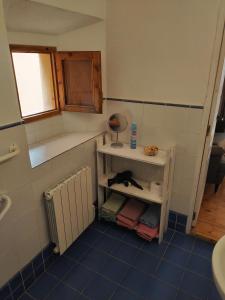 a bathroom with a sink and a shelf with a cat on it at Can Penjarella I in Arbúcies