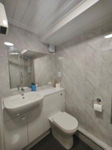 La salle de bains blanche est pourvue d'un lavabo et de toilettes. dans l'établissement Drummond Condo, à Édimbourg
