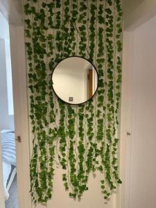 a mirror on a wall with a plant at Drummond Condo in Edinburgh