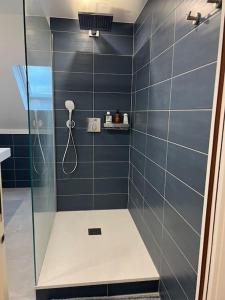 y baño con ducha de azulejos azules. en LE DONJON Appartement 5mn centre ville de Strasbourg Au Calme, en Estrasburgo