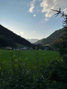 a large green field with mountains in the background at Naturparadies Nähe Grüner See in Oberdorf