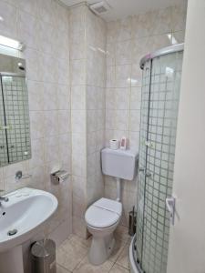 a bathroom with a toilet and a sink at ANTIK HOUSE in Cornu de Jos