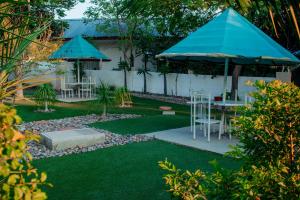 a backyard with a table and chairs and umbrellas at Dolar Lodges & Tours in Maun