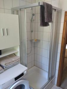 a bathroom with a shower with a toilet and a sink at fewo-Grychnik in Dresden