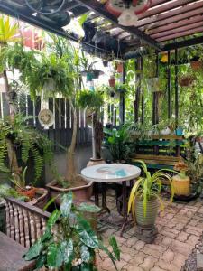 a patio with a table and a bunch of plants at Art Villa in Alor Setar