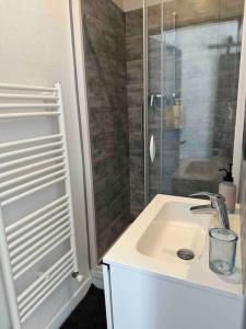 a bathroom with a sink and a shower at Appartement lumineux Parking Privé Gratuit in Bourg-en-Bresse