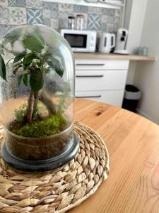 a small plant in a glass jar on a table at Appartement lumineux Parking Privé Gratuit in Bourg-en-Bresse