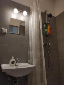 een badkamer met een wastafel en een douchegordijn bij CozyNite Premium Apartment Hauptbahnhof 1+2 in Wenen