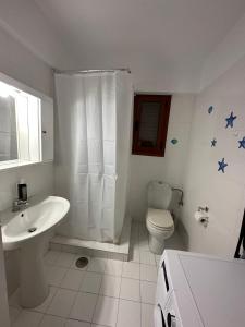 a bathroom with a sink toilet and a shower at Bacchus Villa in Archea Pissa