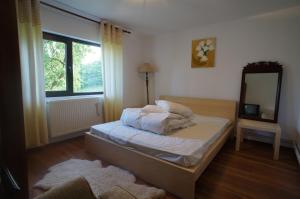a bedroom with a bed and a mirror and a window at Casa Paltinu in Lunca Mare