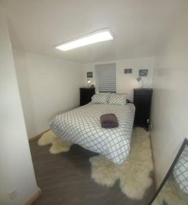 雷克斯堡的住宿－New Appartment，一间位于地毯间的卧室