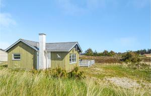 Nørre VorupørにあるNice Home In Thisted With 3 Bedrooms, Sauna And Wifiの高草の小さな緑家