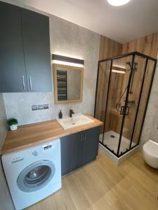 a bathroom with a washing machine and a sink at Love Wysove in Wysowa-Zdrój