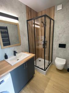a bathroom with a shower and a sink and a toilet at Love Wysove in Wysowa-Zdrój