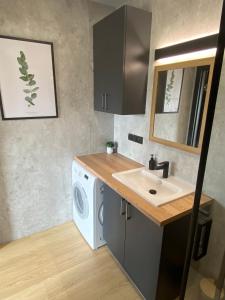 a bathroom with a washing machine and a sink at Love Wysove in Wysowa-Zdrój