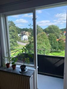 balcón con macetas y vistas a un patio en Good cheap apartment in a central location, en Borås