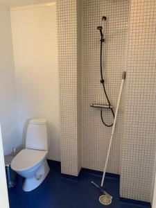 a bathroom with a toilet and a shower at Good cheap apartment in a central location in Borås