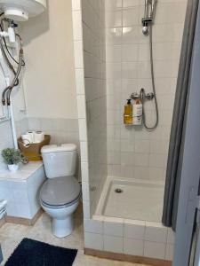 a small bathroom with a toilet and a shower at Studio proche Gare in Bourg-en-Bresse
