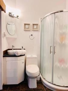e bagno con doccia, servizi igienici e lavandino. di New-ski-spa-outdoor-fireplace-Mont Orford a Orford