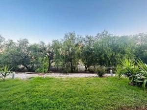 um jardim com relva e árvores ao fundo em Zen garden apartment. em Vera