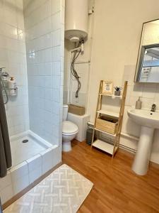 een badkamer met een douche, een toilet en een wastafel bij Studio Calme et Cosy -Gare- in Bourg-en-Bresse