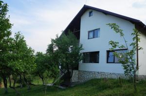 Gallery image of Casa Paltinu in Lunca Mare
