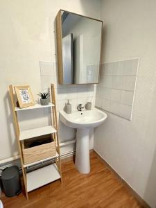 een badkamer met een wastafel en een spiegel bij Studio Calme et Cosy -Gare- in Bourg-en-Bresse