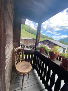 Příroda nedaleko bed and breakfast