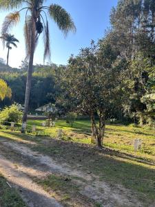 un chemin de terre avec un palmier sur un champ dans l'établissement Chalézinho Santorini, à Guararema