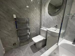 a bathroom with a toilet and a sink and a mirror at The Trossachs Apartment in Stirling