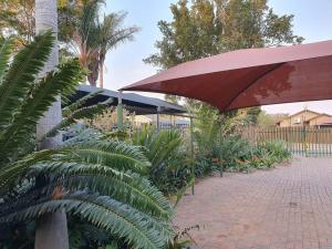 une terrasse avec un parasol rouge et quelques plantes dans l'établissement Tree Orchid, à Polokwane