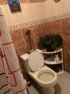 a bathroom with a white toilet and a plant at Mini suite in Loja