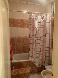 uma casa de banho com uma banheira e uma cortina de chuveiro em Mini suite em Loja