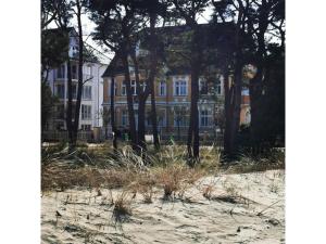 une maison sur la plage avec des arbres et de l'herbe dans l'établissement Ferienwohnung MeerZeit Villa Adler, à Ahlbeck