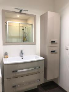 a bathroom with a sink and a mirror at Grand studio in Meythet +9 photos