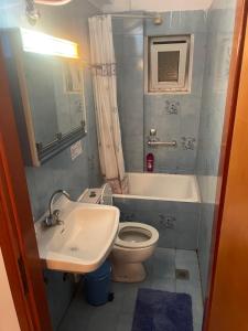 a small bathroom with a sink and a toilet at STOUDIO VOUL in Alexandroupoli
