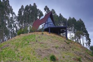 a house on top of a hill with trees at Chalé do Canyon in Alfredo Wagner