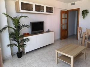 een woonkamer met een tv en een potplant bij Panoramic Sea Views in Calpe