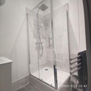 um chuveiro com uma porta de vidro na casa de banho em Appartement quai de Joliette/ mucem/major em Marselha