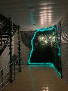 мртапрапвак في بوكسورو: نفق بحائط به أضواء زرقاء وأخضر